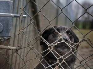 ��� ���� �������.