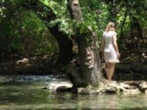 ��� ���� ���� ��