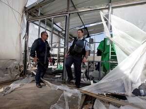 ����� ����� ����� ���� 