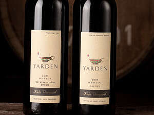 ���� ����