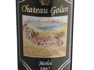 ���� ����