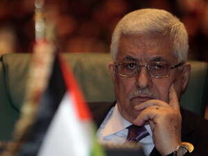 ���-���� ����� ����� ������ �����