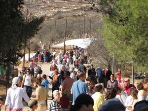 תל שילה תל שילה