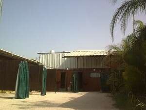 ������ ���������� ����� ����� ��� ����