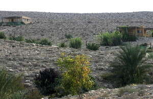 ���� ������� ����