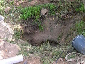 ���� ����� ����� ������� ������