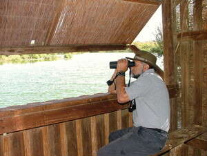 ������ �����