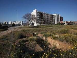 אחד הקברים המיועדים להעתקה במתחם בית החולים ברזילי באשקלון אחד הקברים המיועדים להעתקה במתחם בית החולים ברזילי באשקלון
