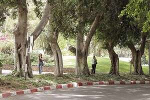 מכון ויצמן מכון ויצמן