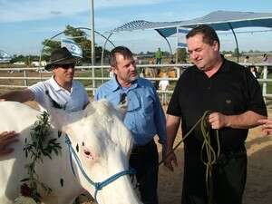 ����� �� ���� ��� ����� ����