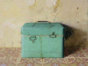 צידנית, שמן על עץ, 2008 צידנית, שמן על עץ, 2008