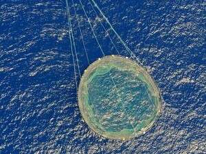 ��� ������ ������ ���� ������, ������ ������� ������� ������� ���� �����