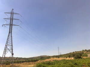 ���� ��� ������