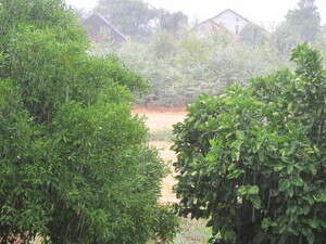 גשם בייסוד המעלה, היום גשם בייסוד המעלה, היום