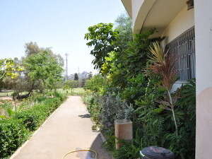 החווה החקלאית בבת ים החווה החקלאית בבת ים