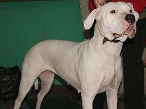 ���� ���� ��������. �� ���� ������� ���� �����