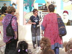 ���� �� ������ ������ 