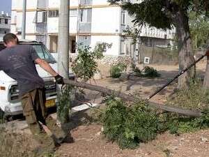 ���� ���� ���� ������