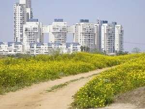 מי ימנע את חיסול השטחים הפתוחים? מי ימנע את חיסול השטחים הפתוחים?