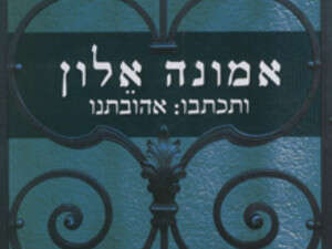ערבוב ביד אוהבת. עטיפת הספר ערבוב ביד אוהבת. עטיפת הספר