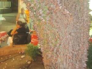 ���� ������ 