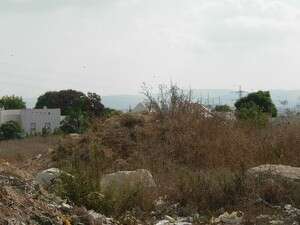 ���� ������ ���� ���� ��������