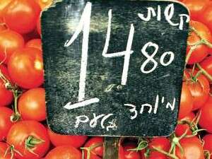 מחירי העגבניות בשיא בחודש שעבר מחירי העגבניות בשיא בחודש שעבר