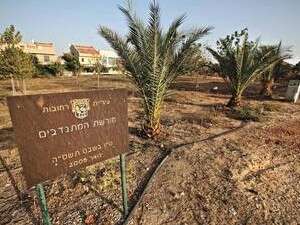 חורשת המריבה ברחובות חורשת המריבה ברחובות