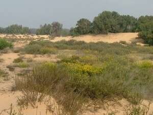 ���� �����. ��� ���� �� ���� ��� ����� ����� ��� ��� ������ ������� �����