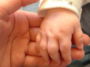 ��� ������