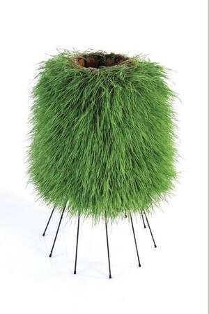 ����� �� ����� ���� ���� ������� 