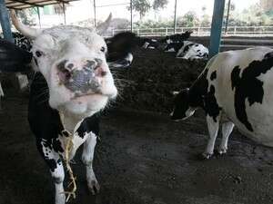 �� ��� ��. ���� ����.