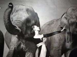 ������ �����. ������ 