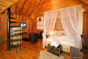 ���� �����. ����� ��