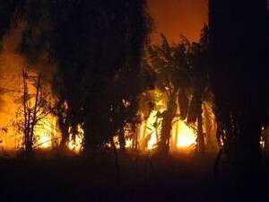 ������ ��� ��� ���. ��� ����� ������ ����