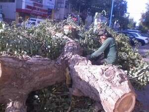 ��� ����� ������