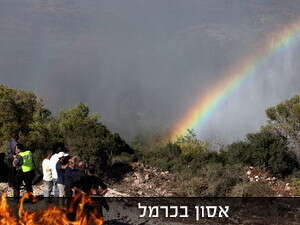 שריפה בכרמל שריפה בכרמל