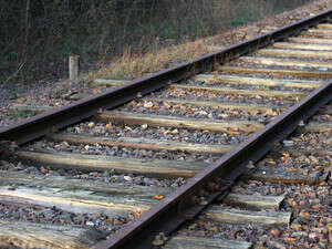 ���� ������ ����� ����� ������