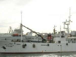 ����� ���� ������� ���� 1.