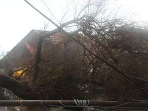 הסערה בגבעת אולגה הסערה בגבעת אולגה