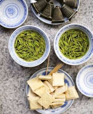 ����� ������ �������