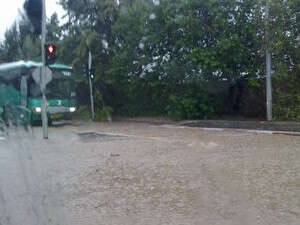 ���� ����