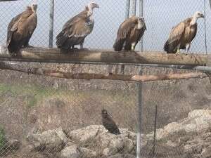 �������� ������ ������� �����