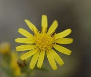 ���� ����. ������ ����� ������ ����� �� ������� �� ����