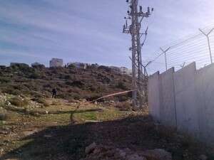 ���� ���������