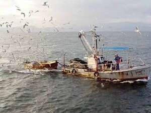 ספינת דיג בכנרת. באפריל הסירות יצטרכו לעגון ספינת דיג בכנרת. באפריל הסירות יצטרכו לעגון