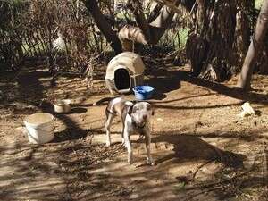 �� ����� ������� ��� ��