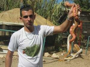 שירן באבא וחברים שירן באבא וחברים