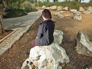 מלכי סטאריק מלכי סטאריק