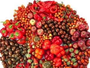 מזון כחומר גלם. עבודה של עמית פרבר ודן פרץ. מזון כחומר גלם. עבודה של עמית פרבר ודן פרץ.